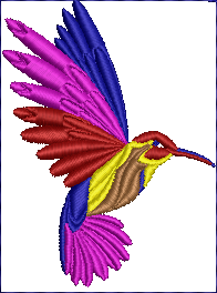 Embroidery design: A colorful embroidery design of a hummingbird in flight, with vibrant blue, pink, red, yellow, and brown feathers.